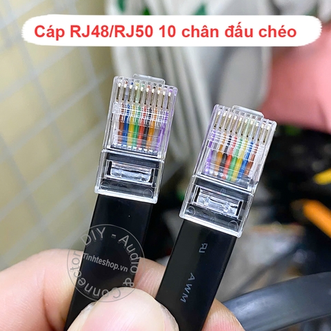 Cáp mạng RJ48 RJ50 10P10C - RJ50 UTP 10-pin network cable