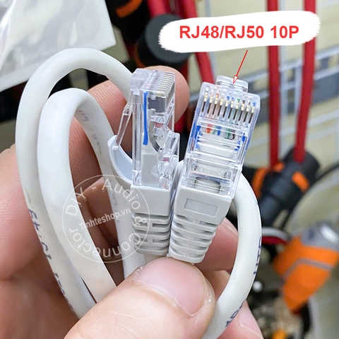 Dây mạng Cat5 UTP 10 pin RJ48 RJ50 bấm sẵn 10Cm đến 30 mét