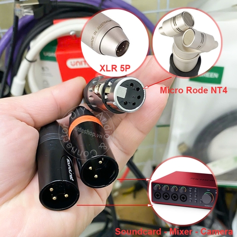 Dây micro Rode NT4 XLR 5pin sang 2 XLR 3pin cắm vào Soundcard Mixers