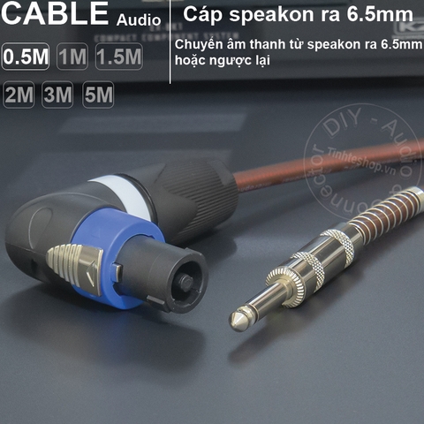 Dây loa sang 6.5mm chuyển từ Bộ đẩy sang Loa Âm ly DIY 0.5 đến 10 mét - Speakon to 1/4 mono cable