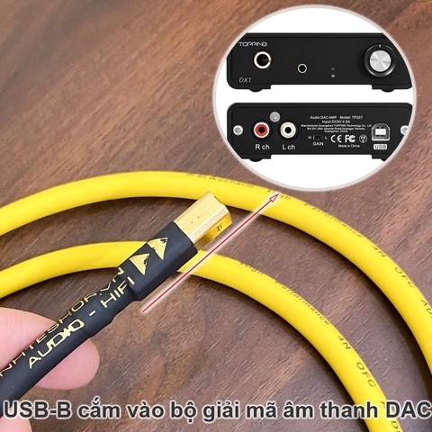 Dây cấp nhạc từ máy tính qua DAC AMP đồng mạ bạc hiệu suất cao âm thanh sáng