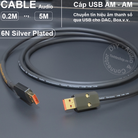 Dây USB A sang C cho DAC lõi đồng 6N mạ bạc - USB 2.0 AM to CM OTG cable