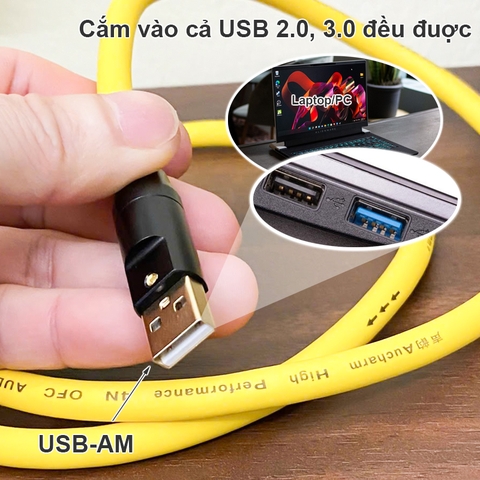 Dây USB A sang C để cắm Máy tính sang DAC đồng 4N OFC mạ bạc