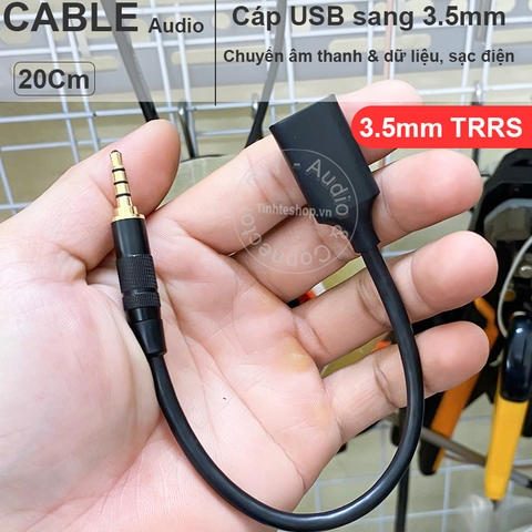 Cáp 3.5 sang USB chuyển Âm thanh Nguồn điện cho oto.v.v. USB A female to AUX 3.5mm TRRS male