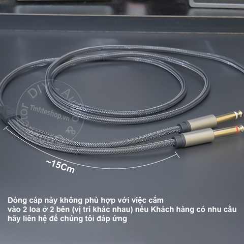 Dây USB type C sang 6.5mm 2 đầu R-L DAC 32bit - USB C to 6.35mm 2-port cable transfers audio from Smartphone Tablet Laptop to Speaker Mixer