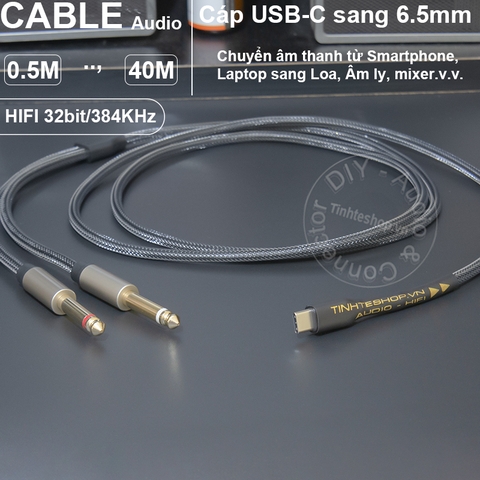 USB type C sang 6.5 stereo 0.5 đến 5 mét - USB-C to 6.35mm TRS HIFI ALC5686 32bit cable