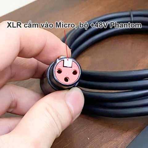 USB sang canon cắm Microphone condenser cho Laptop PC