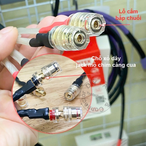 Rắc loa cho âm ly Châu Âu Bang & Olufsen dây đồng Van Den Hul - 2-pin DIN audio plug from amplifier to banana plug