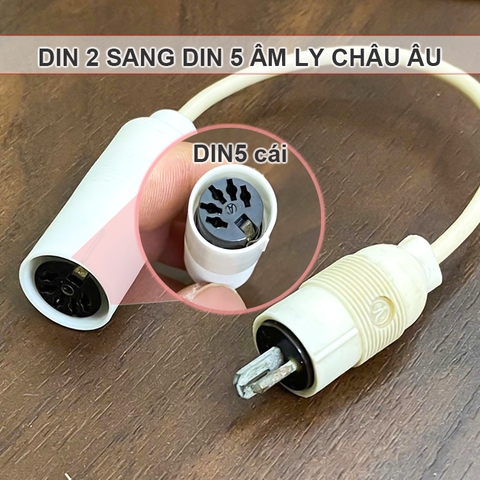 Dây cho âm ly Châu Âu đầu 2 chân sang 5 chân