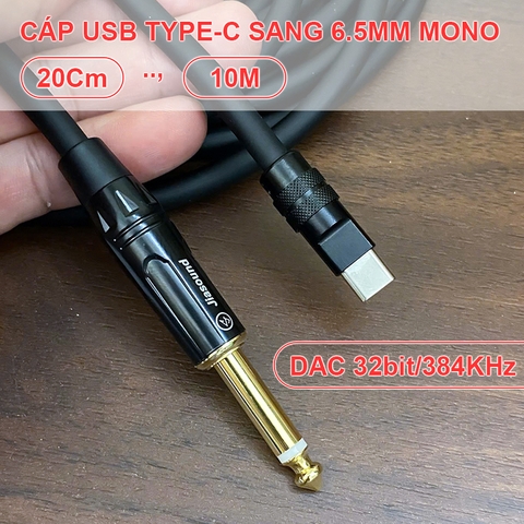 USB C audio sang 6.5mm DAC 32bit 384KHz chuyển âm thanh từ Smartphone Tablet Laptop sang Mixer Loa