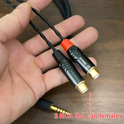 Dây 4.4 balanced sang 2 đầu bông sen cái chuyển âm thanh từ DAC AMP sang Loa Âm ly
