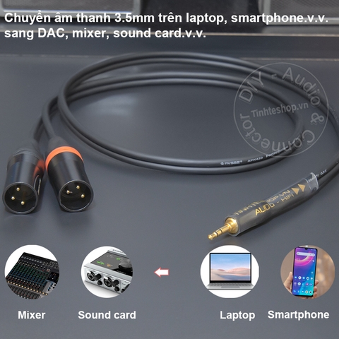Dây 3.5 sang 2 đầu canon đực chuyển âm thanh từ Laptop Smartphone sang Loa kiểm âm Mixer - 3.5mm to 2 XLR male cable