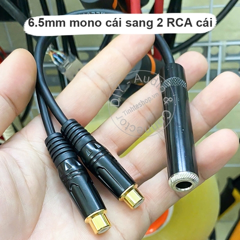 Dây jack AV đực sang 6 ly cái 15Cm - RCA male to 6.5mm female adapter