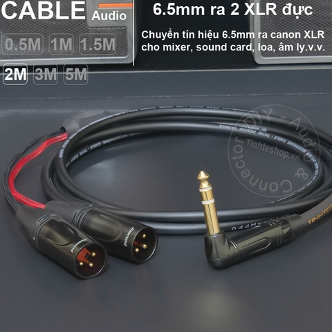 Jack 6 ly ra canon DIY 0.5 đến 5 mét - 6.35mm to 2 XLR male stereo cable