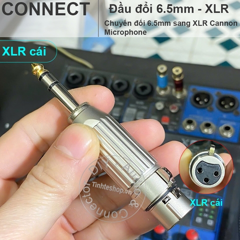 Rắc 6 ly sang canon đực - 6.3mm to XLR male adapter