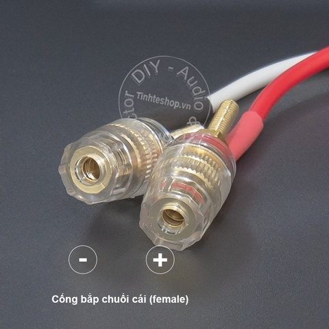 Dây 2 chân sang bắp chuối cho âm ly cổ Châu Âu - DIY 2pin DIN to banana plug audio cable for European amplifier