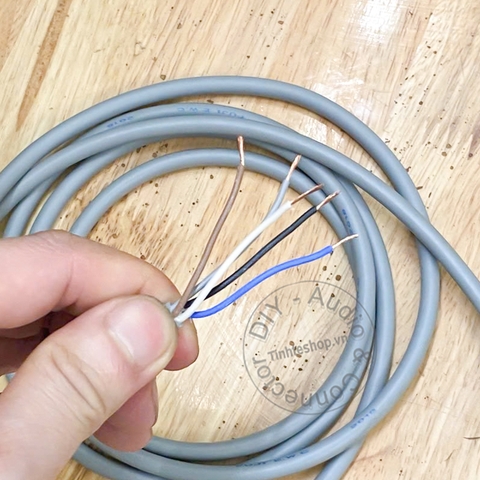 Cáp kết nối M12 XS2F-D521-GG0-A OMRON - Photoelectric proximity sensor accessories