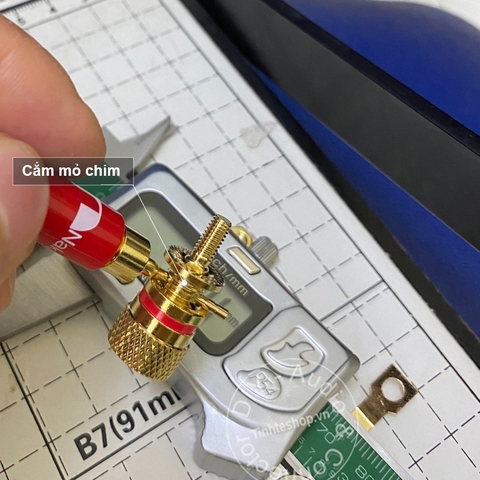 Cọc loa cắm Bắp chuối Mỏ chim Càng cua - Audio jack on the enclosure of the Speaker or Multi-Plug Amplifier
