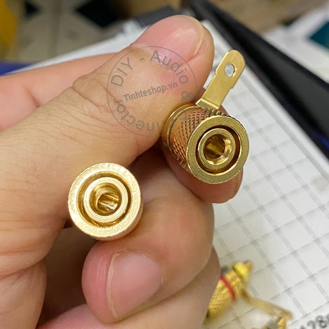 Cọc loa cắm Bắp chuối Mỏ chim Càng cua - Audio jack on the enclosure of the Speaker or Multi-Plug Amplifier