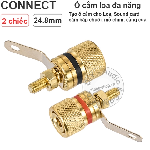 Cọc loa cắm Bắp chuối Mỏ chim Càng cua - Audio jack on the enclosure of the Speaker or Multi-Plug Amplifier