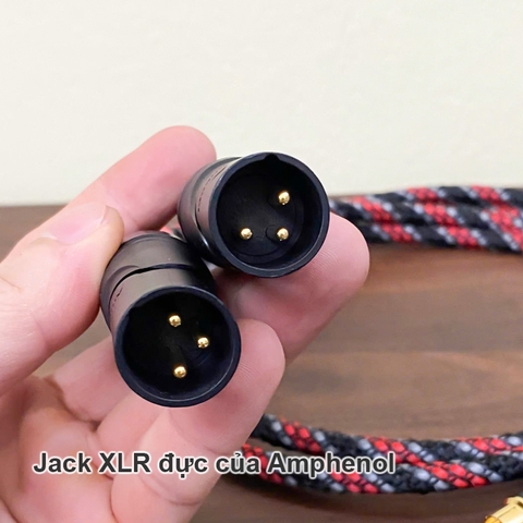 Dây RCA sang XLR đực cho Đẩy Accuphase P-450 tùy chỉnh kích thước và đầu vào