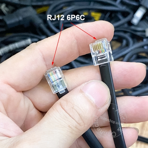 Dây chia RJ12 6P6C bấm chéo cho ngăn kéo tính tiền - RJ12 splitter cable for cash register drawer