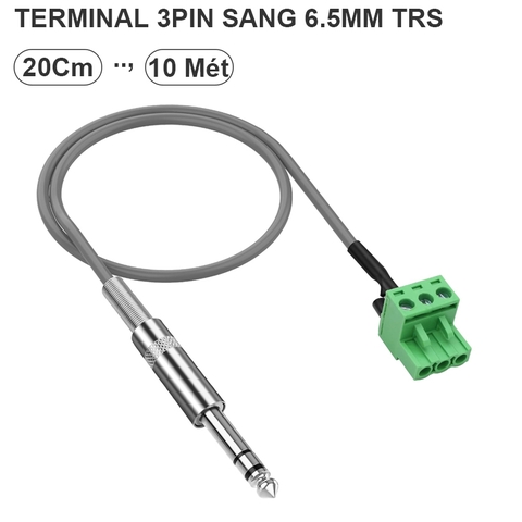 Cáp 6.5mm TRS sang 3pin terminal block - Phoenix 6.35mm TRS to 3-pin audio cable
