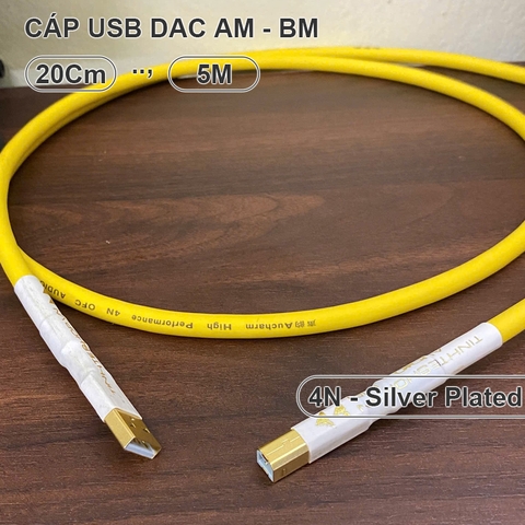 Dây cấp nhạc từ máy tính qua DAC AMP đồng mạ bạc hiệu suất cao âm thanh sáng