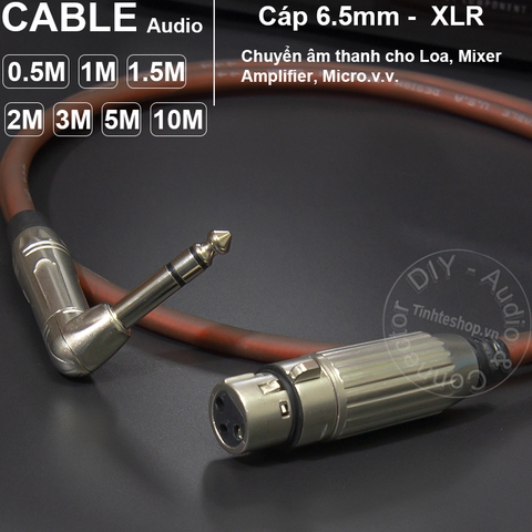 Cáp 6 ly ra canon cái DIY 0.5M đến 5M - Jack 1/4 TRS to XLR female cable