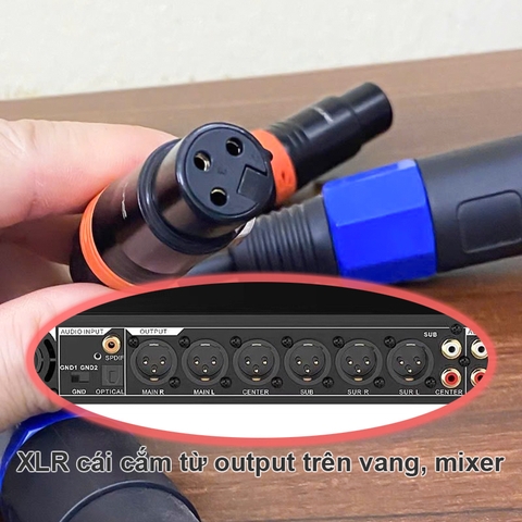 Dây chuyển từ Vang Mixer DAC sang Cục đẩy - XLR female to Speakon female adapter for power amplifier