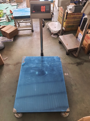 CÂN HEO 500kg KÍCH THƯỚC 60 x 80 cm