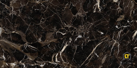 Gạch lát 60x120 Viglacera TL61201