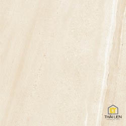 Gạch ốp, lát Taicera 30x60,60x60 TL063062