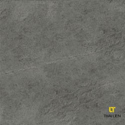Gạch ốp, lát Taicera 30x60,60x60 TL068764