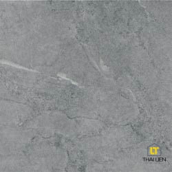 Gạch ốp, lát Taicera 30x60,60x60 TL068818