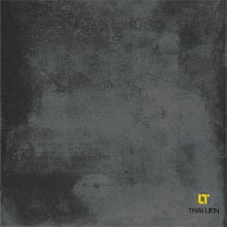 Gạch ốp, lát Taicera 30x60,60x60 TL068824