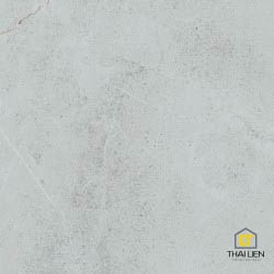 Gạch ốp, lát Taicera 30x60,60x60 TL068848