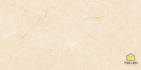 Gạch lát 60x120 Viglacera TL61202