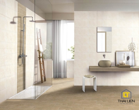 Gạch ốp Taicera 30x60 TL063033