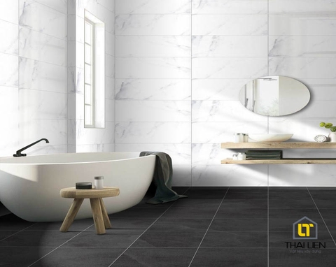 Gạch ốp Taicera 30x60 TL063032