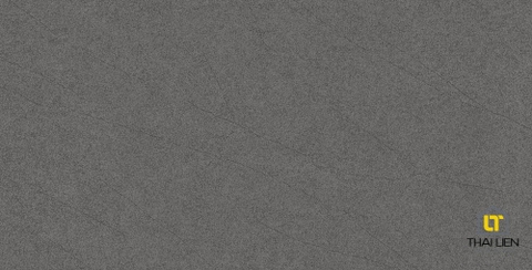 Gạch ốp Viglacera TL36002,02A