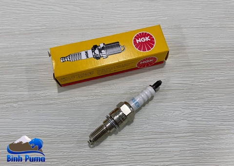 Bugi NGK Cho Đầu 4Vavle