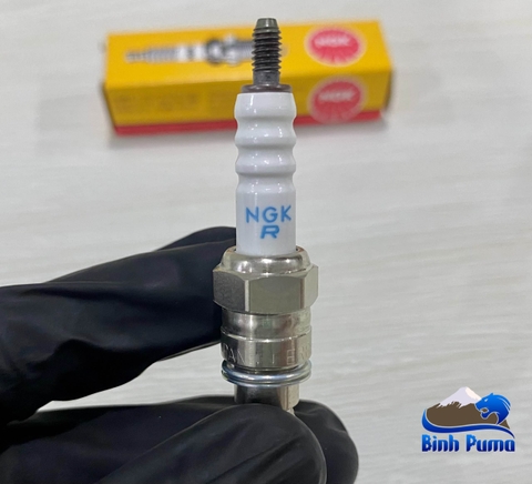 Bugi NGK Cho Đầu 4Vavle