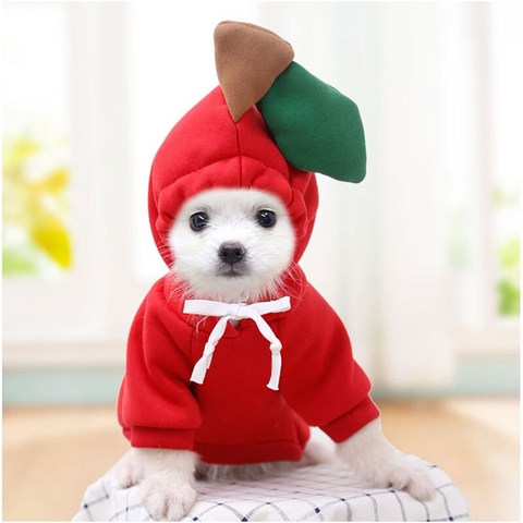 Quần áo cho chó mèo Ambaby