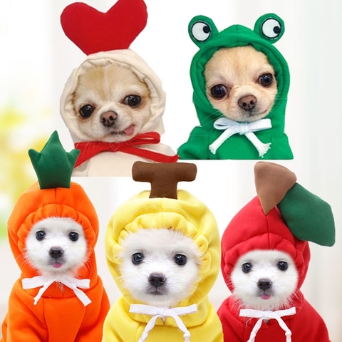 Quần áo cho chó mèo Ambaby