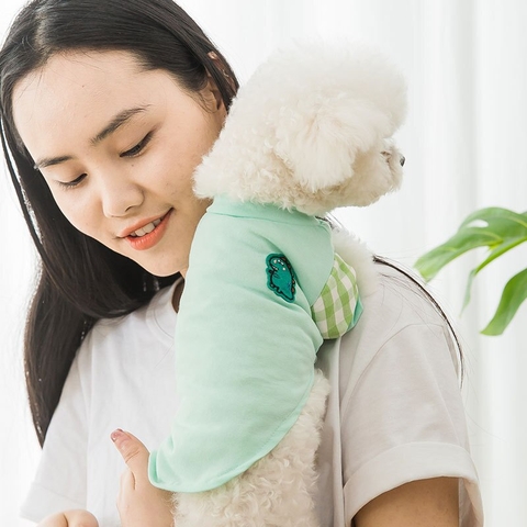 Vòng cổ cho chó mèo kèm dây dắt Ambaby