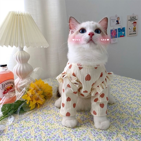 Yếm cho chó mèo kèm dây dắt AmBaby