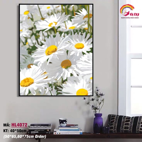 Tranh tô màu theo số sơn dầu số hóa Gam cúc họa mi trắng HL4072