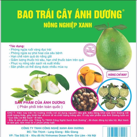 5 LỢI ÍCH CỦA TÚI BAO TRÁI CÂY ÁNH DƯƠNG MỚI NHẤT NĂM 2021