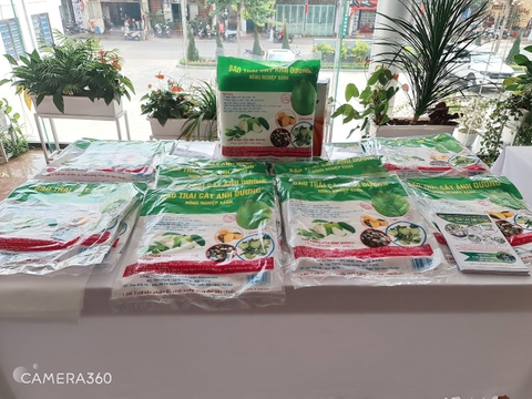 Kon Tum | Túi Bao Trái Cây Ánh Dương Thương Hiệu Được Bà Con Tin Dùng